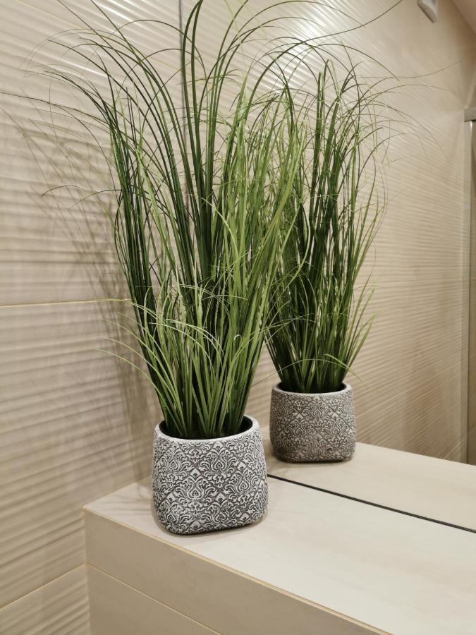 Apartament Zofia 2 Przy Plazy Władysławowo Eksteriør bilde